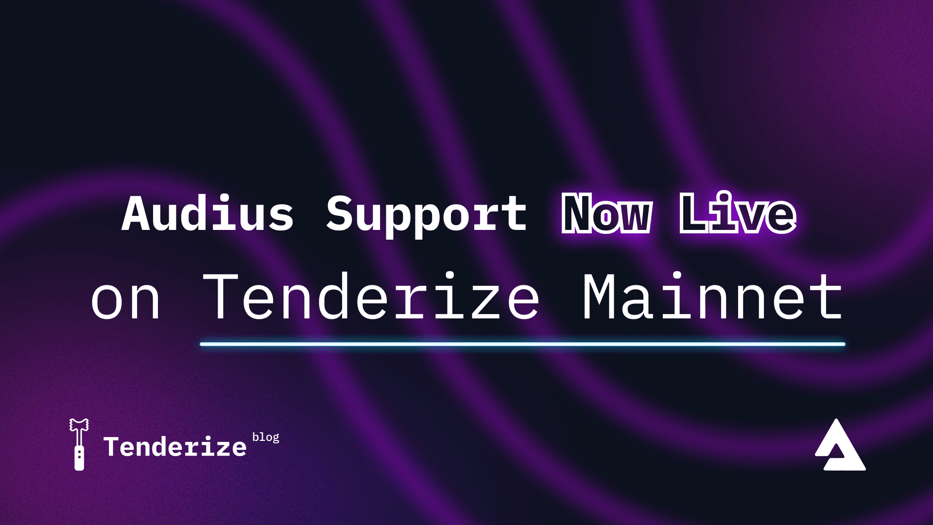 Audius Support Now Live on Tenderize Mainnet!